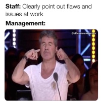 Flaws-at-work.JPG