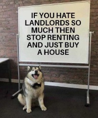 Landlords.JPG
