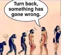 Turn-Back-Something-has-gone-Wrong.JPG