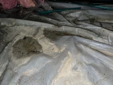 2023-02-26-Water-Leak-from-unknown-source-08.JPG