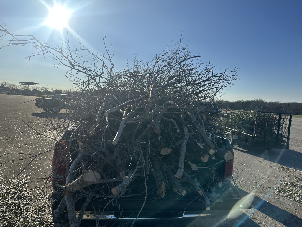 2023/02(February)/Ice-storm-Texas-Trees-down/1024x768_2023-02-11-Texas-Ice-Storm-07.JPG