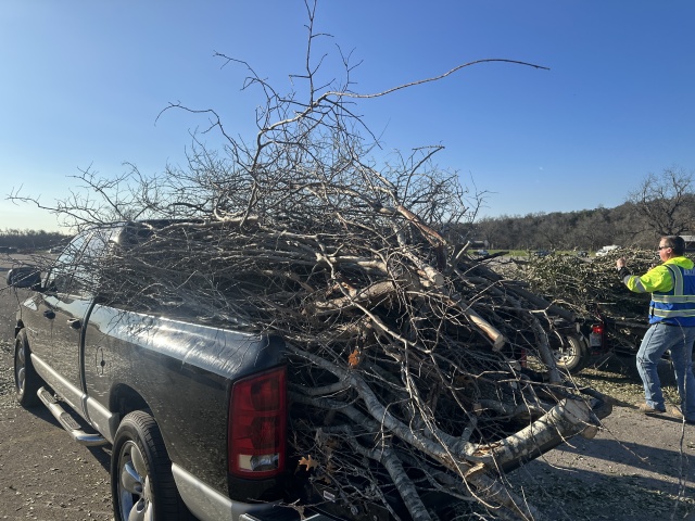 2023/02(February)/Ice-storm-Texas-Trees-down/640x480_2023-02-11-Texas-Ice-Storm-08.JPG