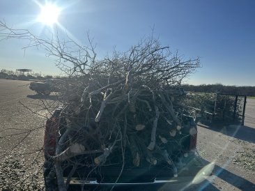 2023-02-11-Texas-Ice-Storm-07.JPG