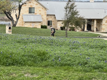 2023-03-09-Bluebonnets-01-Travis-Grand-Canyon-Practice-hike.JPG