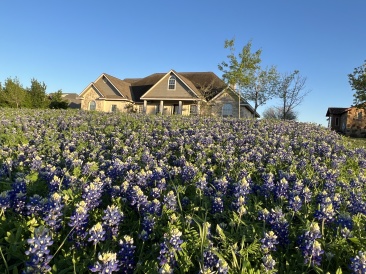 2023-03-24-Bluebonnets-18.JPG