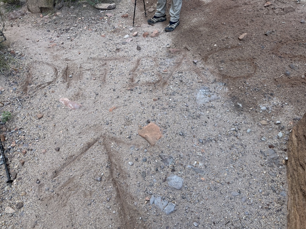 2023-03-14-Grand-Canyon-Crew8787-134-Dirtbags-go-this-way.JPG