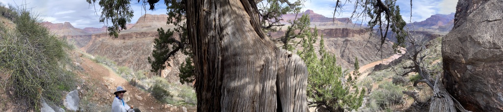 2023-03-14-Grand-Canyon-Crew8787-170-Travis.jpg