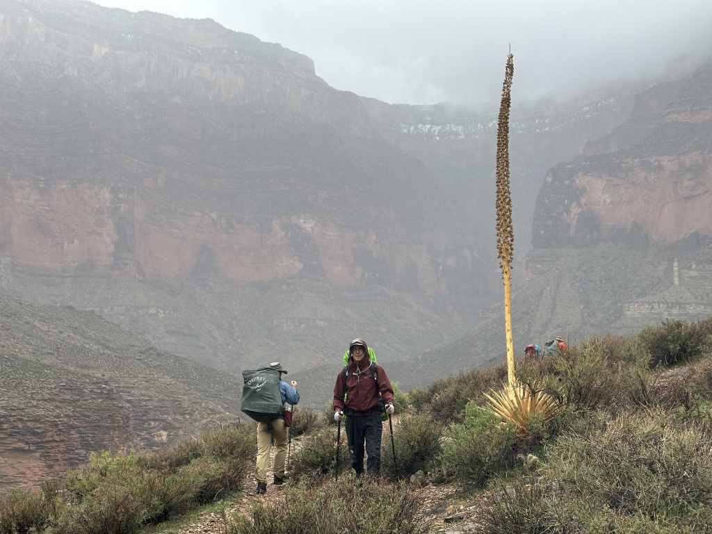 2023-03-15-Grand-Canyon-Crew8787-218-rainy-day-Ben.JPG
