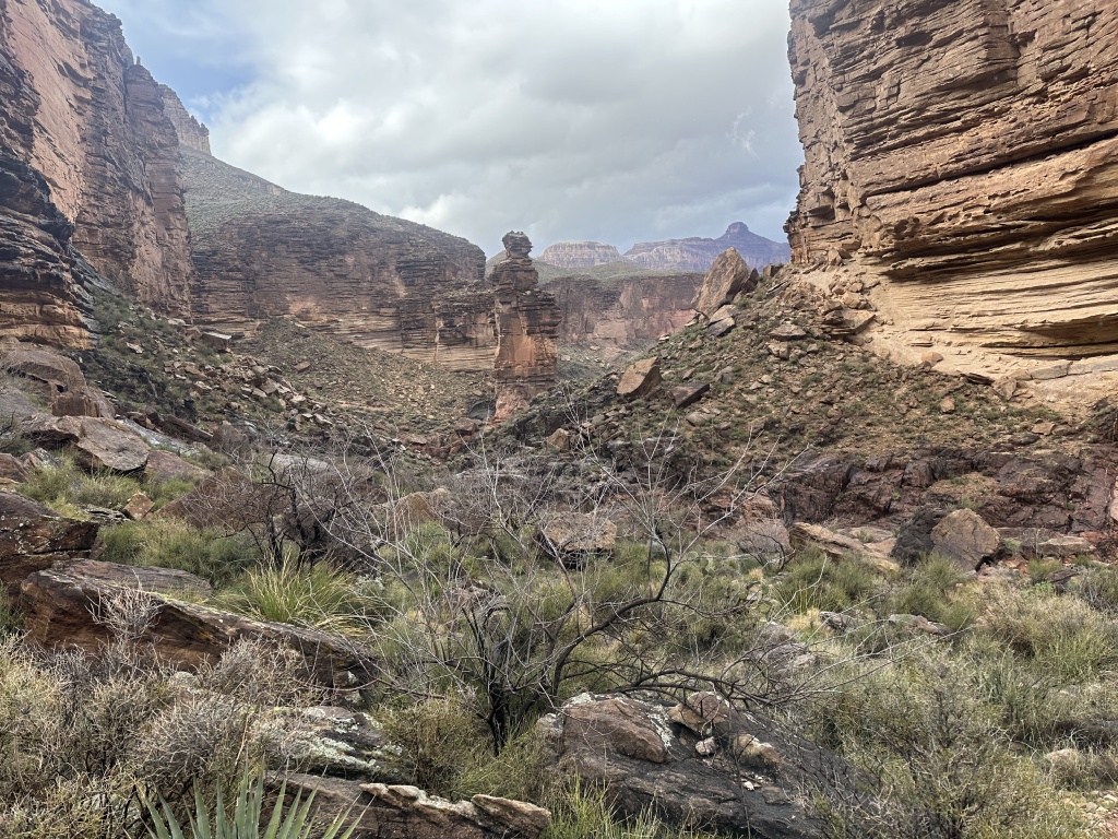 2023-03-15-Grand-Canyon-Crew8787-232.JPG