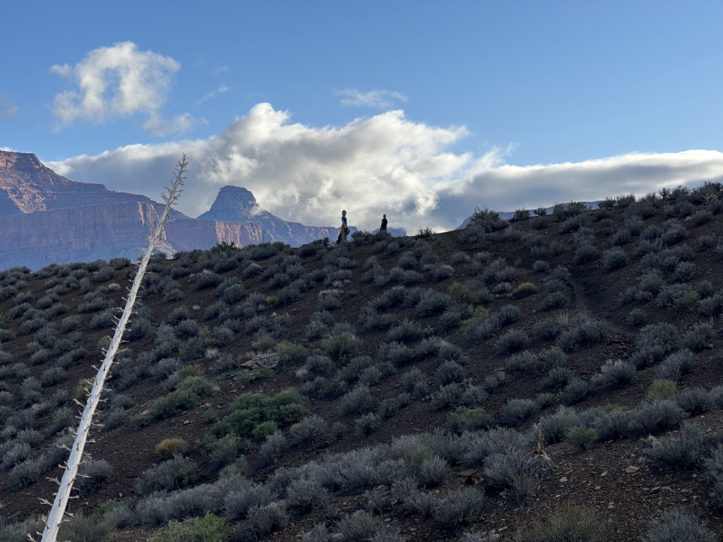 2023-03-16-Grand-Canyon-Crew8787-305-Truman.JPG