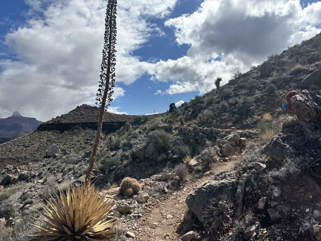 2023-03-16-Grand-Canyon-Crew8787-328.JPG