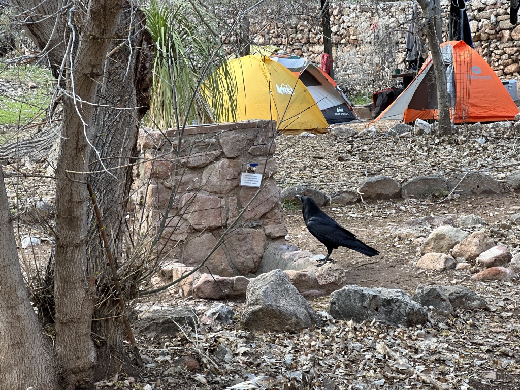 2023-03-16-Grand-Canyon-Crew8787-346.JPG