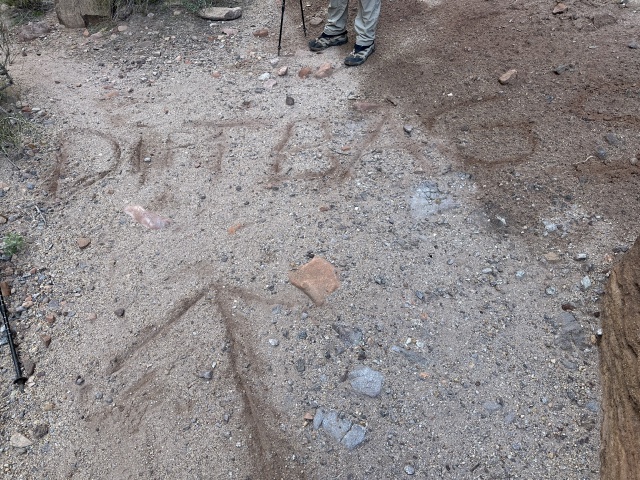 2023-03-14-Grand-Canyon-Crew8787-134-Dirtbags-go-this-way.JPG