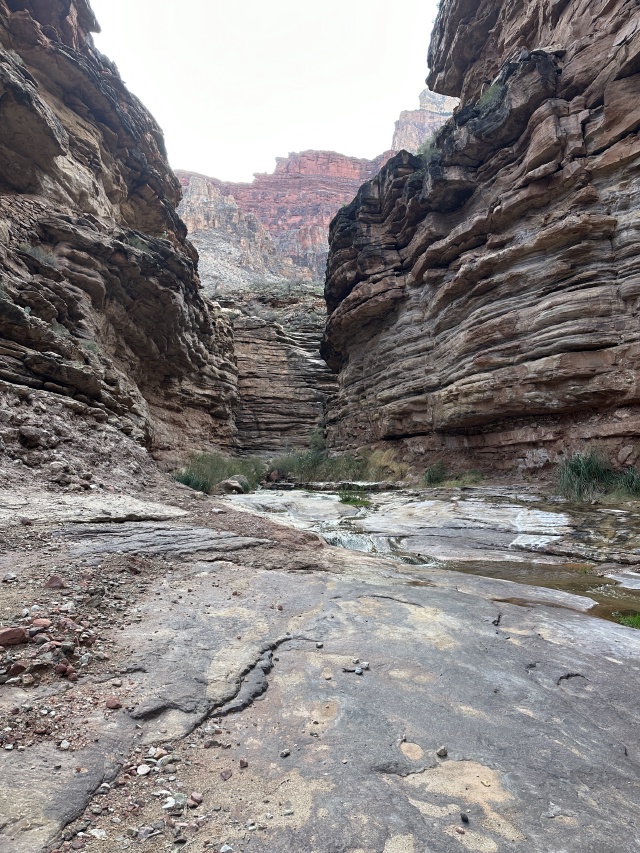 2023-03-14-Grand-Canyon-Crew8787-137.JPG