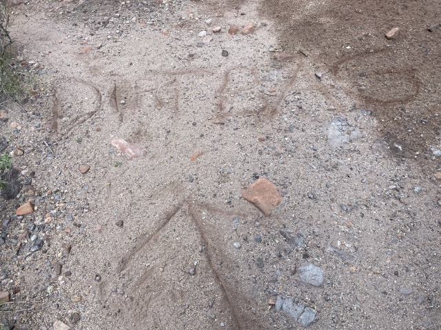 2023-03-14-Grand-Canyon-Crew8787-140-Dirtbags-went-this-way.jpg