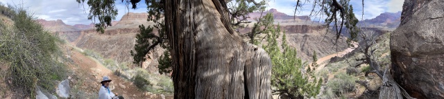 2023/03(March)/Grand-Canyon-Crew-8787/640x480_2023-03-14-Grand-Canyon-Crew8787-170-Travis.jpg