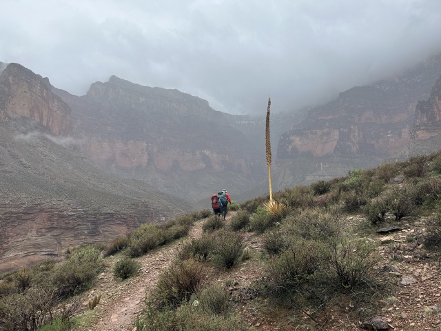 2023/03(March)/Grand-Canyon-Crew-8787/640x480_2023-03-15-Grand-Canyon-Crew8787-216-rainy-day-Clare-Carl.JPG