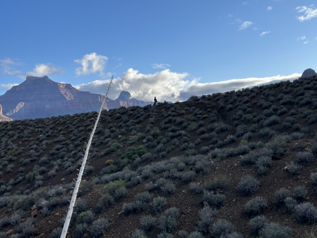 2023/03(March)/Grand-Canyon-Crew-8787/640x480_2023-03-16-Grand-Canyon-Crew8787-304-Truman.JPG