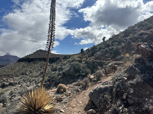 2023/03(March)/Grand-Canyon-Crew-8787/640x480_2023-03-16-Grand-Canyon-Crew8787-328.JPG