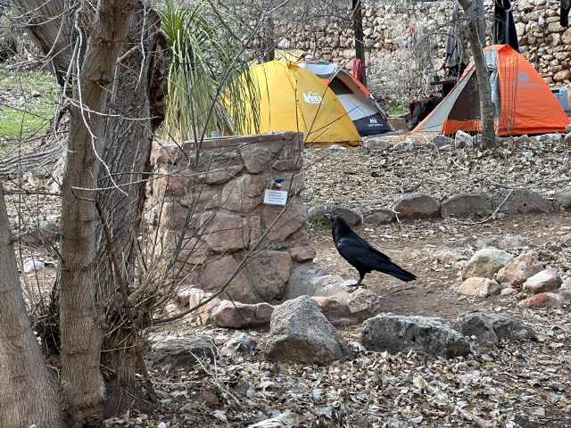 2023/03(March)/Grand-Canyon-Crew-8787/640x480_2023-03-16-Grand-Canyon-Crew8787-346.JPG
