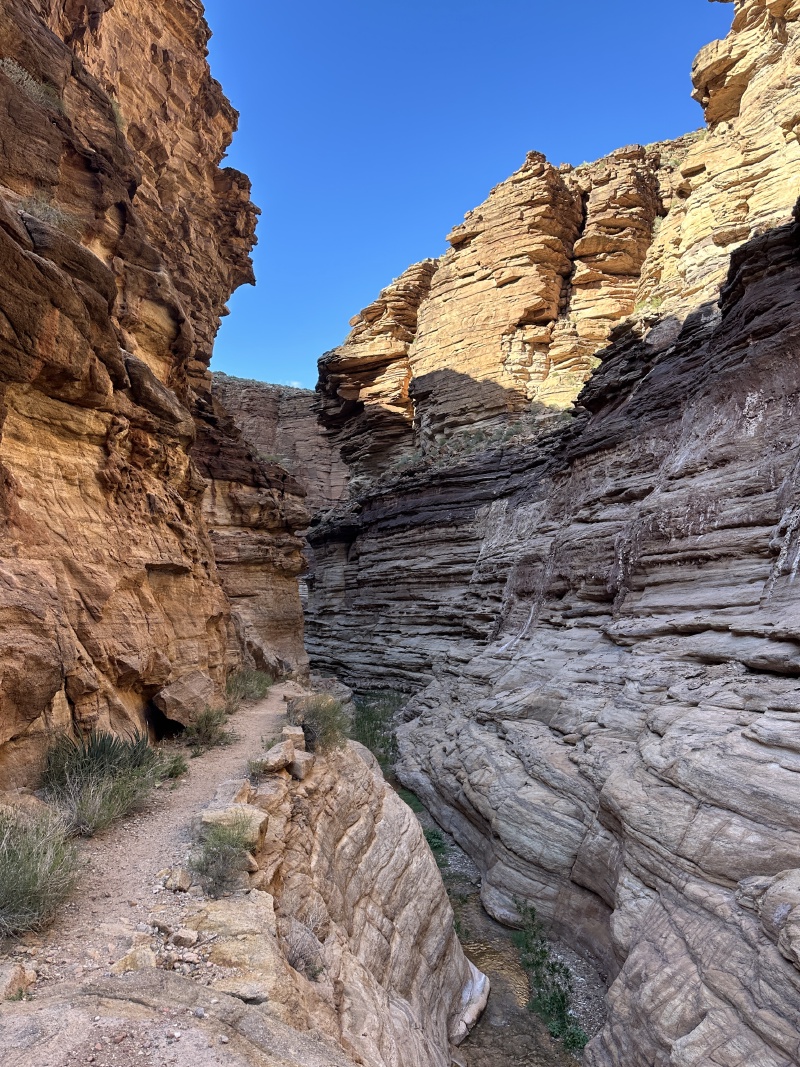 2023-03-13-Grand-Canyon-Crew8787-113.JPG