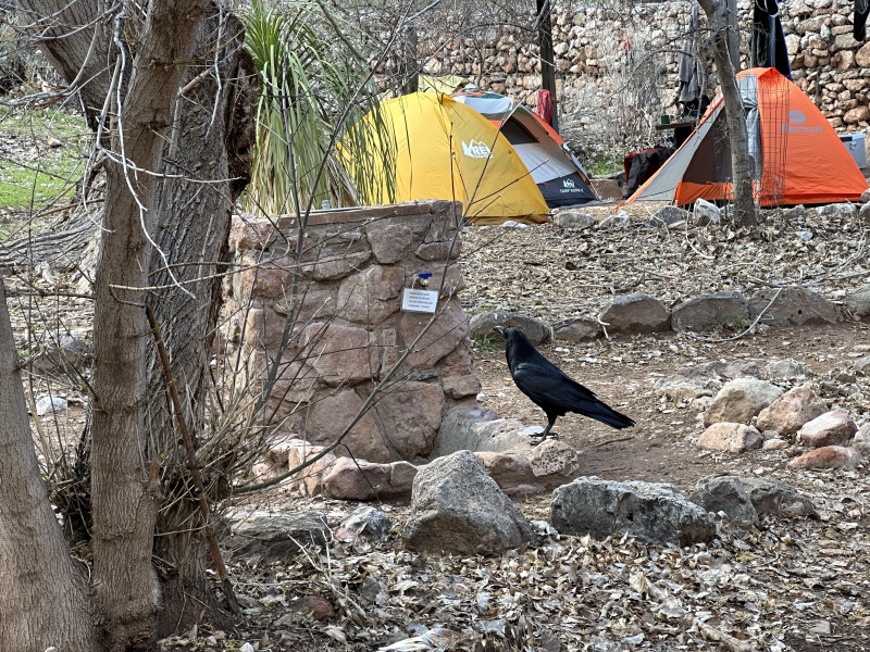 2023-03-16-Grand-Canyon-Crew8787-346.JPG