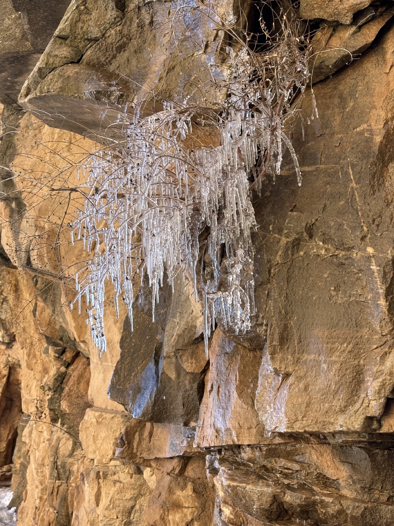 2023-03-17-Grand-Canyon-Crew8787-444.JPG