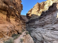 2023-03-13-Grand-Canyon-Crew8787-114.JPG