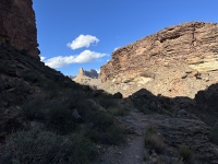 2023-03-13-Grand-Canyon-Crew8787-116.JPG