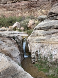 2023-03-14-Grand-Canyon-Crew8787-135.JPG