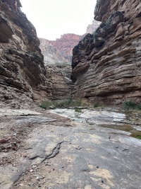 2023-03-14-Grand-Canyon-Crew8787-137.JPG