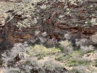 2023-03-14-Grand-Canyon-Crew8787-147.JPG