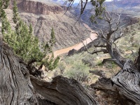 2023-03-14-Grand-Canyon-Crew8787-168.jpg