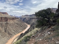 2023-03-14-Grand-Canyon-Crew8787-184.JPG