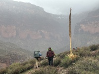 2023-03-15-Grand-Canyon-Crew8787-218-rainy-day-Ben.JPG