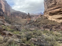 2023-03-15-Grand-Canyon-Crew8787-232.JPG
