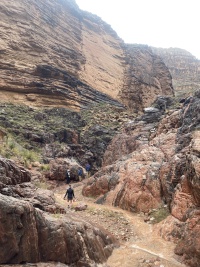 2023-03-15-Grand-Canyon-Crew8787-233-Clare-Travis-Quade.jpg