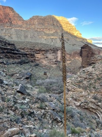 2023-03-16-Grand-Canyon-Crew8787-298.JPG