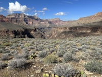2023-03-16-Grand-Canyon-Crew8787-315.JPG