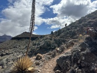 2023-03-16-Grand-Canyon-Crew8787-328.JPG