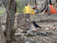 2023-03-16-Grand-Canyon-Crew8787-346.JPG