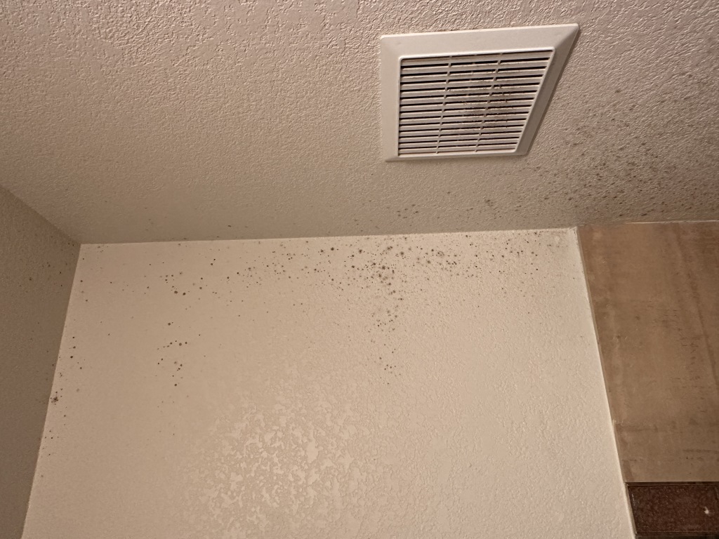 2023/05(May)/Colorado-House-Work/2023-05-01-Mold-in-downstairs-bathroom-1.JPG