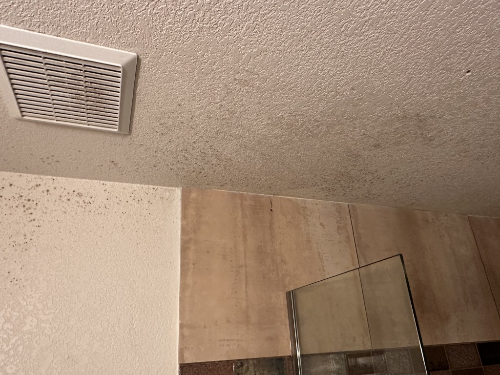 2023/05(May)/Colorado-House-Work/1024x768_2023-05-01-Mold-in-downstairs-bathroom-2.JPG