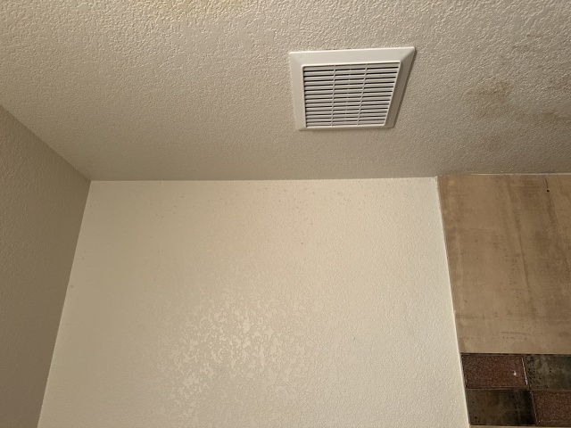2023-05-01-Mold-in-downstairs-bathroom-3.JPG