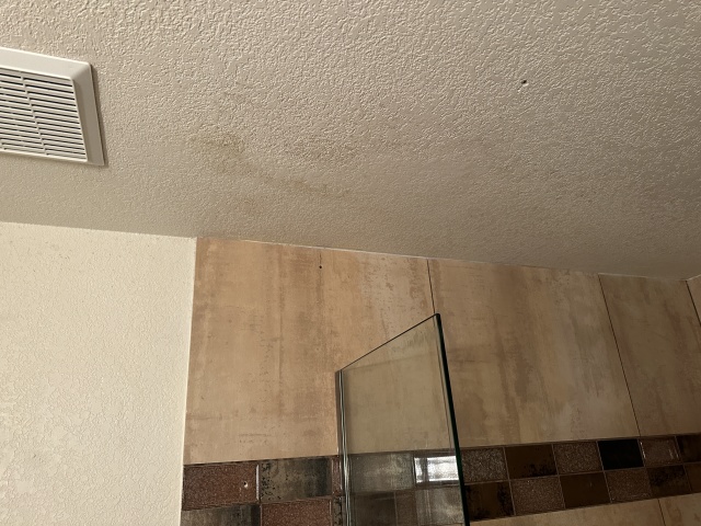 2023-05-01-Mold-in-downstairs-bathroom-4.JPG