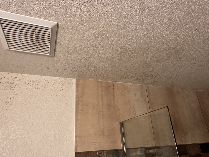2023/05(May)/Colorado-House-Work/800x600_2023-05-01-Mold-in-downstairs-bathroom-2.JPG