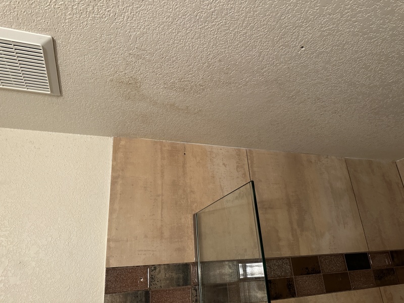 2023-05-01-Mold-in-downstairs-bathroom-4.JPG