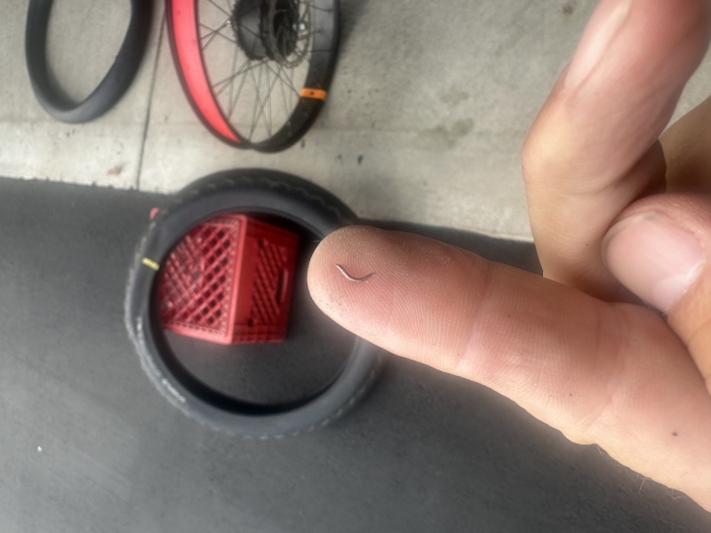 2023-08-11-Flat-bike-tire-from-this.JPG