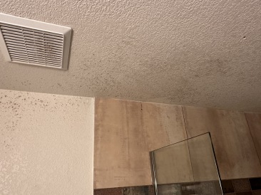 2023-05-01-Mold-in-downstairs-bathroom-2.JPG