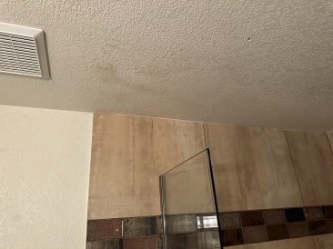 2023-05-01-Mold-in-downstairs-bathroom-4.JPG